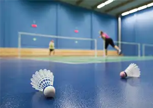Badminton Court